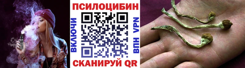 даркнет сайт Николаевск Псилоцибиновые грибы Cubensis
